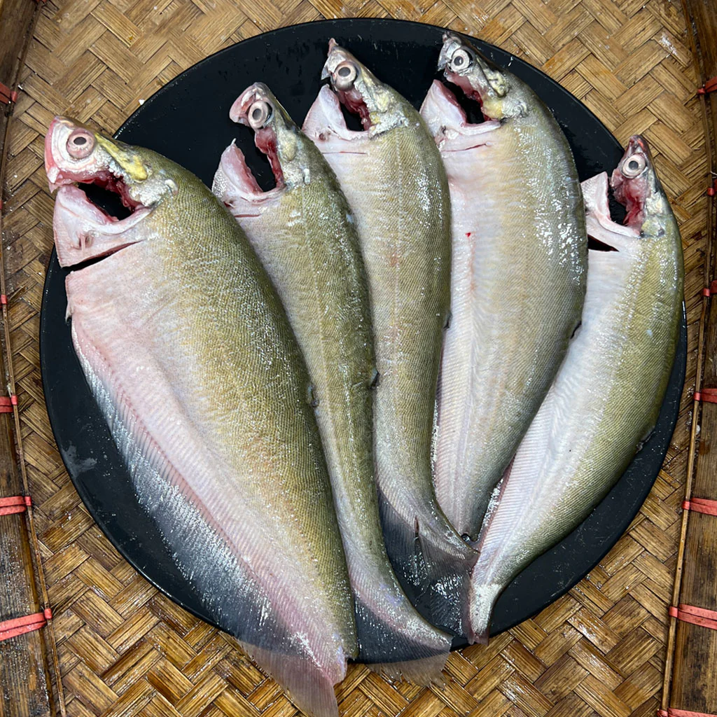 দেশি ফলি (কেজিতে ৫-৭ পিস)
