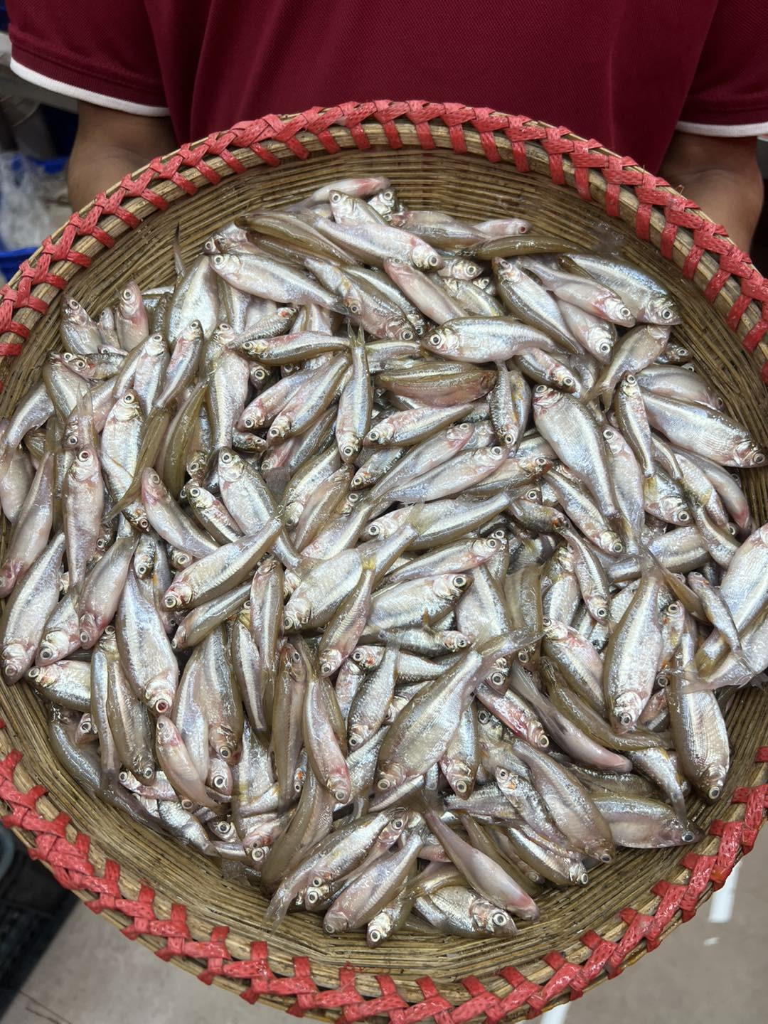 নদীর মলা মাছ মিক্সড সাইজ